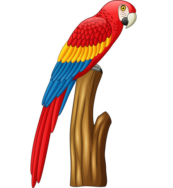 Vector illustration of macaw on a branch - Vector, imagen