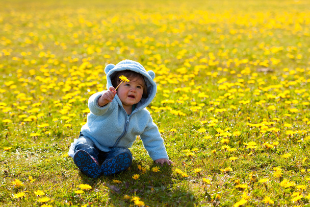 boy in spring flowers field - Фото, зображення