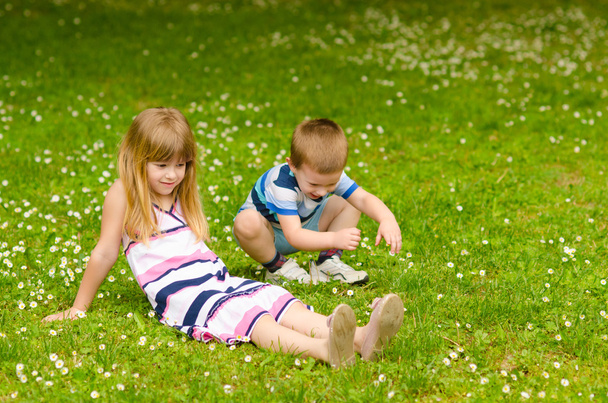 Brother and sister on the meadow - Photo, Image