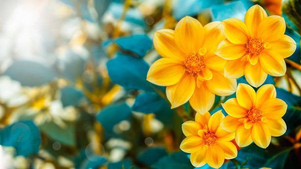 αφηρημένη κίτρινα λουλούδια - Φωτογραφία, εικόνα