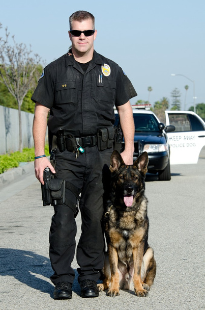 Αστυνομικός σκύλος - Φωτογραφία, εικόνα