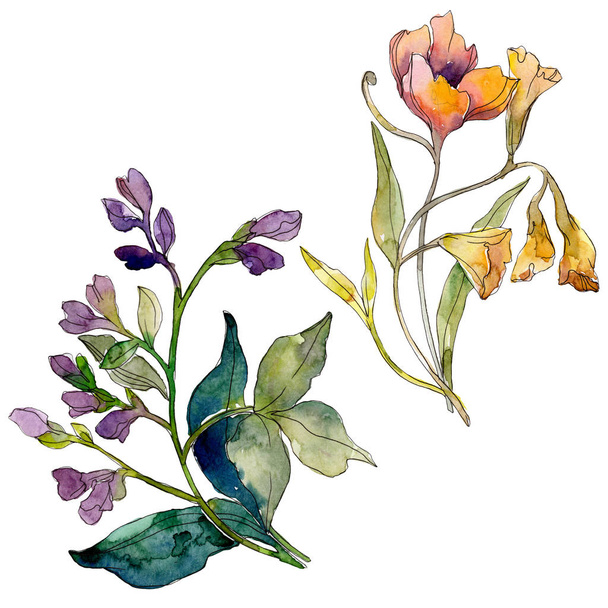 Vadvirág csokor virág botanikai virágok. Akvarell háttér beállítása. Elszigetelt vadvirágok ábra elem. - Fotó, kép