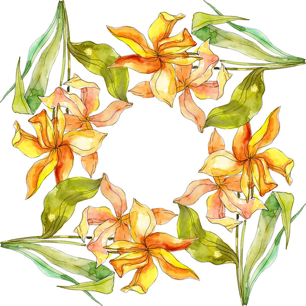 Wildflower boeket bloemen botanische bloemen. Aquarel achtergrond afbeelding instellen. Frame grens ornament vierkant. - Foto, afbeelding