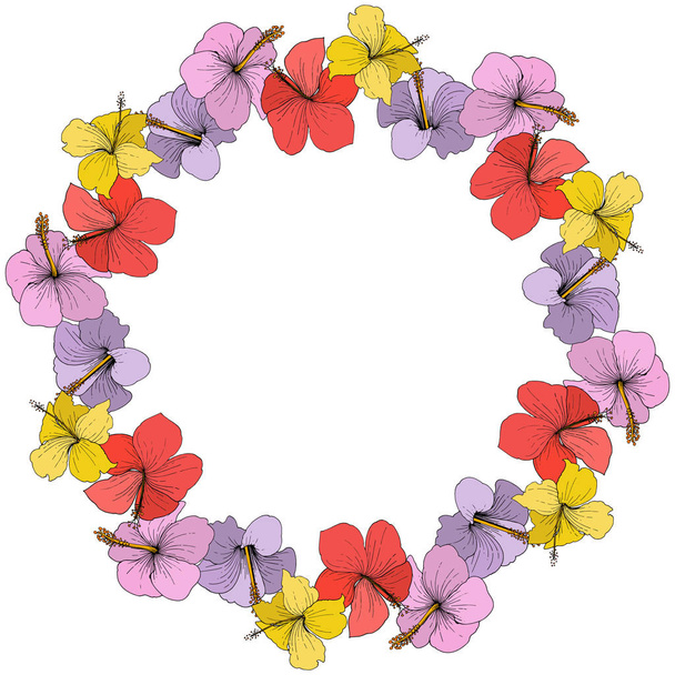 Διάνυσμα floral τροπικά λουλούδια ιβίσκου. Τέχνη χαραγμένο μελάνι σε λευκό φόντο. Πλαίσιο συνόρων στολίδι τετράγωνο. - Διάνυσμα, εικόνα