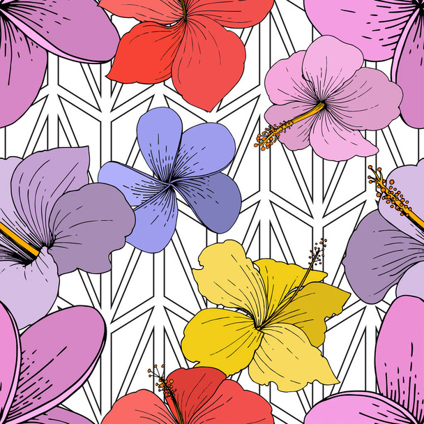 Vector Hibiscus flores tropicales florales. Tinta grabada sobre fondo blanco. Patrón de fondo sin costuras
. - Vector, Imagen