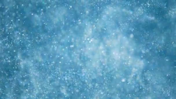 Elegant, detailed, and delightful bokeh and particles visuals with shallow depth of field underwater - Video