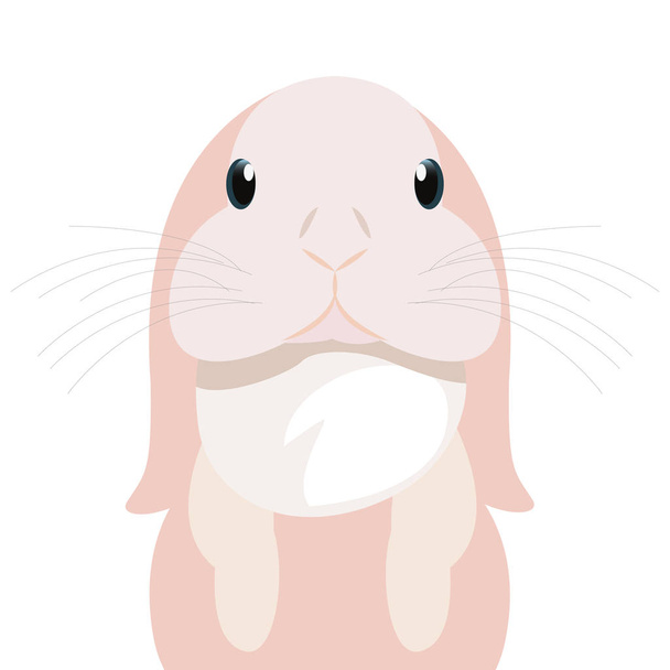 cute rabbit animal - Vector, Image