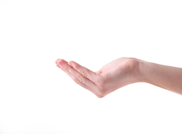 Female hand gesture isolated on a white background - Φωτογραφία, εικόνα