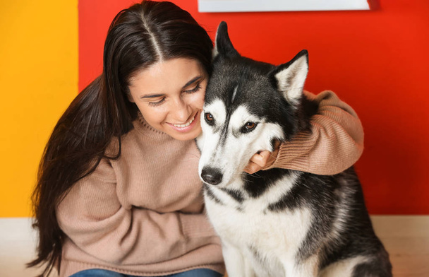 Portrait de jeune femme avec son chien husky mignon
 - Photo, image