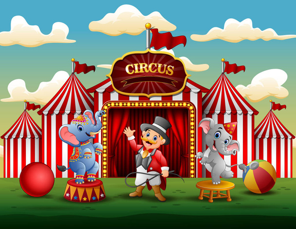 Circus show with trainer and two elephants - Vektor, kép