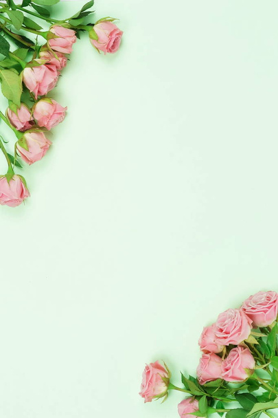 top view of beautiful roses on green background - Photo, Image