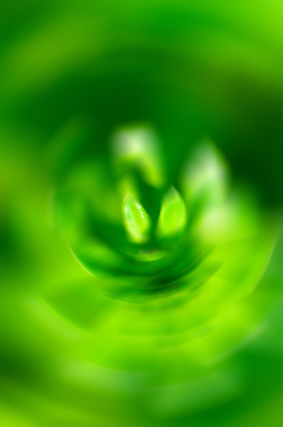 abstrakte grüne verschwommene Blume - Foto, Bild