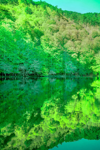 Tiszta időben gyönyörű zöld természeti táj - Fotó, kép