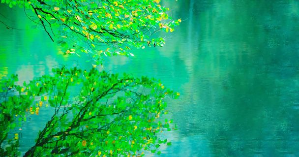 Scenery of beautiful green nature in clear day - Photo, Image