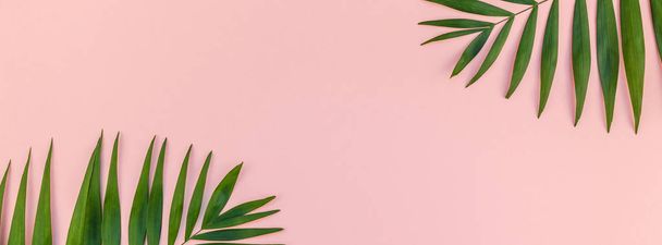 Creative pink background with tropical palm leaves - Foto, afbeelding