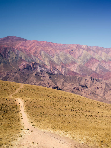 Mountain of the 14 color in Humahuaca, Northwest of Argentina - Photo, Image