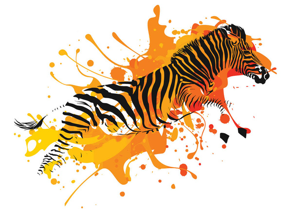 Zebra läuft in einem Farbfleck - Vektor, Bild