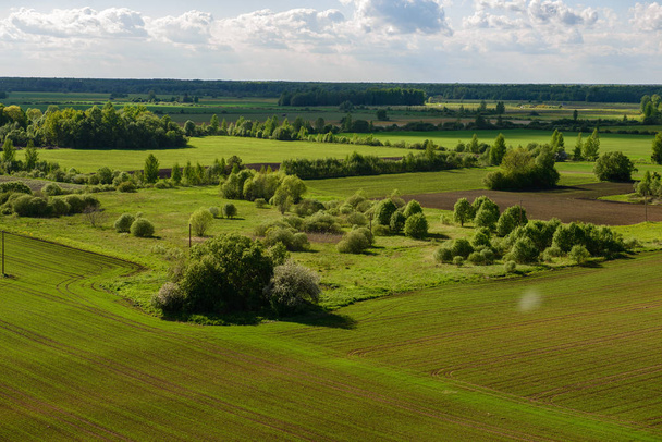 green cultivated fields in countryside - Fotó, kép