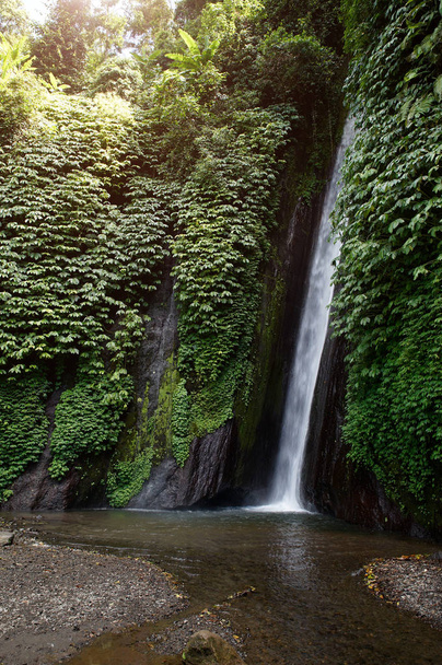 view of waterfall in Bali, Indonesia - Fotó, kép