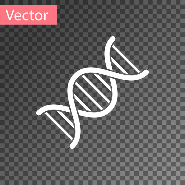 Icona simbolo DNA bianco isolato su sfondo trasparente. Illustrazione vettoriale
 - Vettoriali, immagini