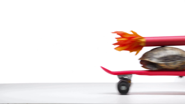 χελώνα σε τραπέζι με κόκκινο χαρτί πυραύλων στο κέλυφος που κινείται γρήγορα για skateboard σε λευκό φόντο - Πλάνα, βίντεο