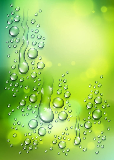 Wassertropfen oder Kondenswasser über verschwommenem grünen Naturhintergrund - Vektor, Bild