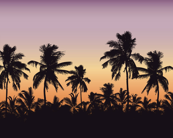 Realistické ilustrace palmový háj. Fialová oranžová obloha s  - Vektor, obrázek