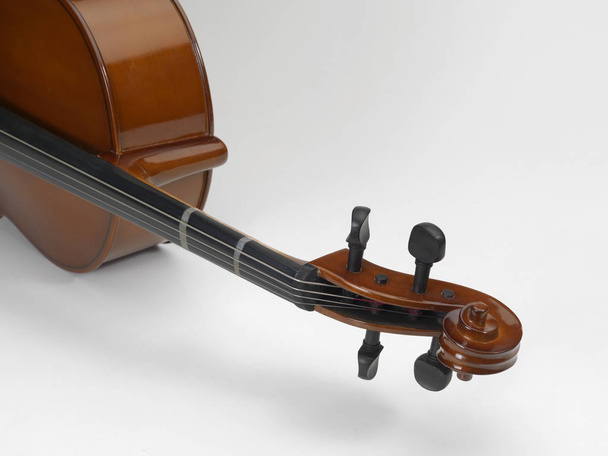 Βιολοντσέλο έγχορδο μουσικό όργανο - Φωτογραφία, εικόνα