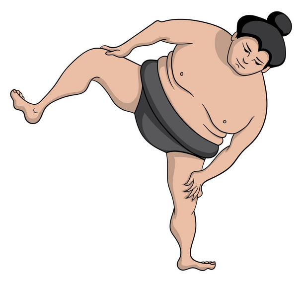 Cartoon Sumo wrestler isolated on white background - Vector, Image