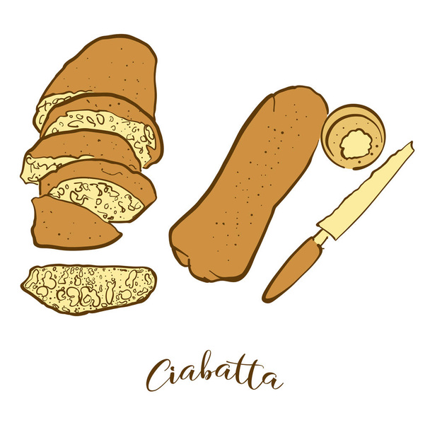 Bocetos coloreados de pan Ciabatta
 - Vector, imagen