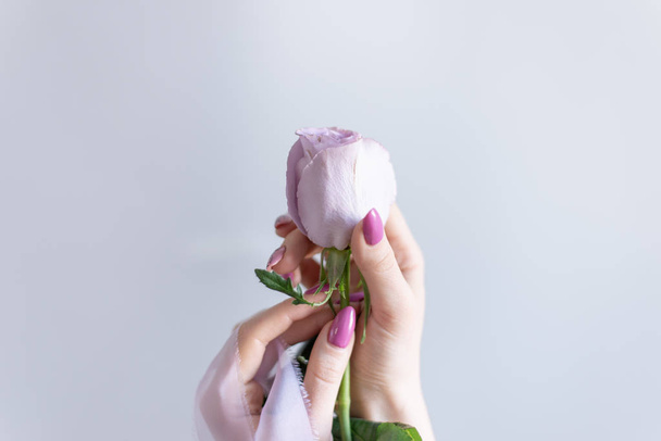 image of a girl holding a flower in her hands on a grey background - 写真・画像