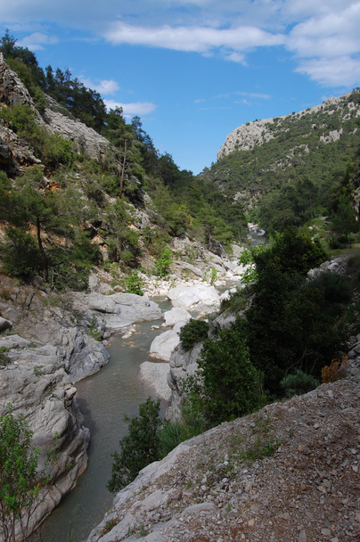 Mountain river in Turkey - 写真・画像