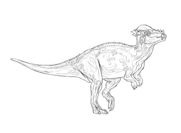 ancient dinosaur line doodle contur illustration prehistoric mon - Zdjęcie, obraz