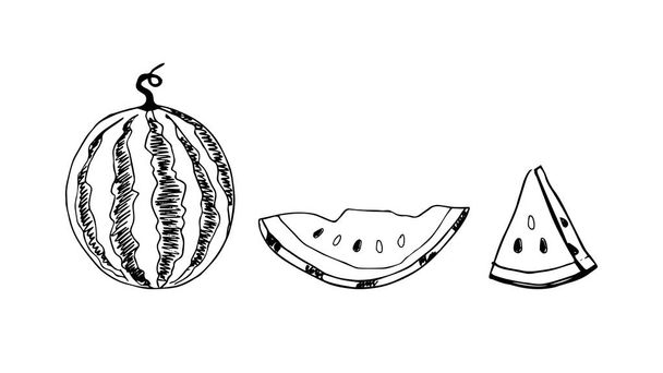 Kézzel rajzolt vázlat stílus görögdinnye meghatározott vektor illusztráció elszigetelt fehér háttér. Farm friss, egészséges étel gyümölcsök. A nyári Paty szimbólumok koncepciója. - Vektor, kép