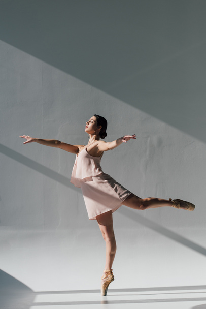 young ballerina  dancing in pink dress and pointe shoes - Fotoğraf, Görsel