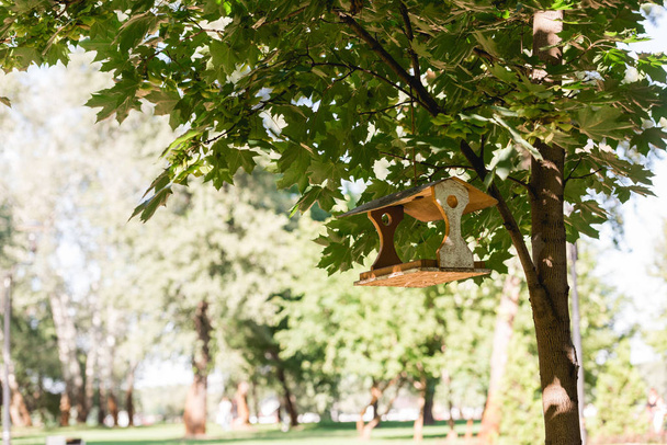 soleil sur l'arbre avec des feuilles vertes et mangeoire d'oiseaux en bois
 - Photo, image