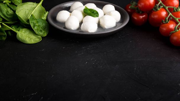 Ingredients for Caprese Salad with mozzarella, tomatoes cherry and baby spinach. Copy space. - 写真・画像