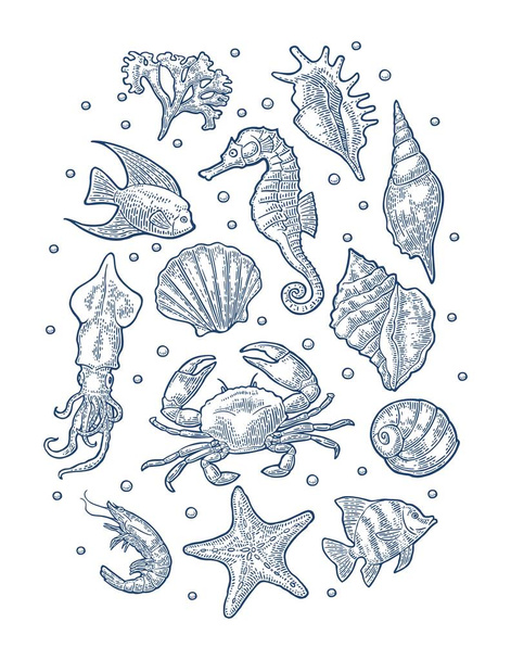 Set sea animal. Vector monochrome engraving vintage illustrations isolated on white - Vector, afbeelding