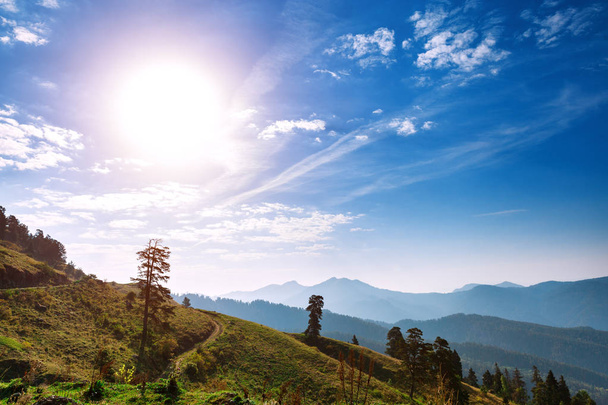 Sunny day. Mountains. Landscape. Nature. Blue sky. Trees - Foto, afbeelding