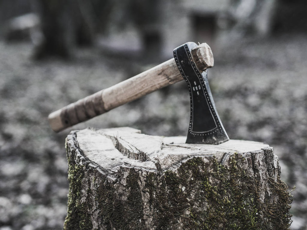 Hacha vikinga plantada en un tronco
 - Foto, Imagen