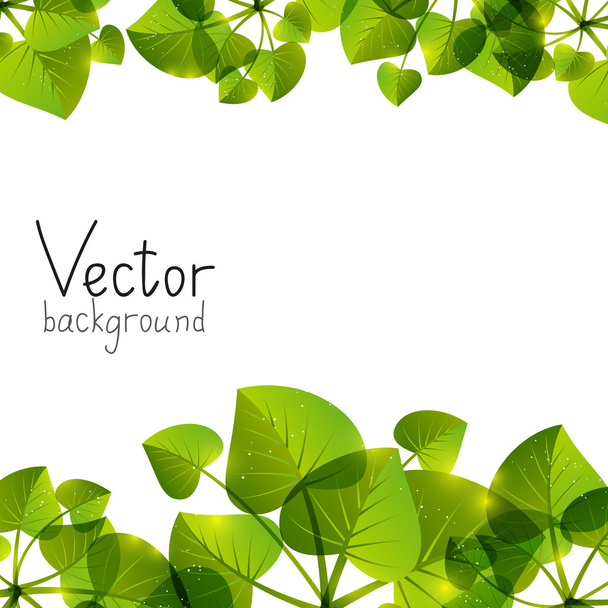 Green leaves background with place for text - Wektor, obraz