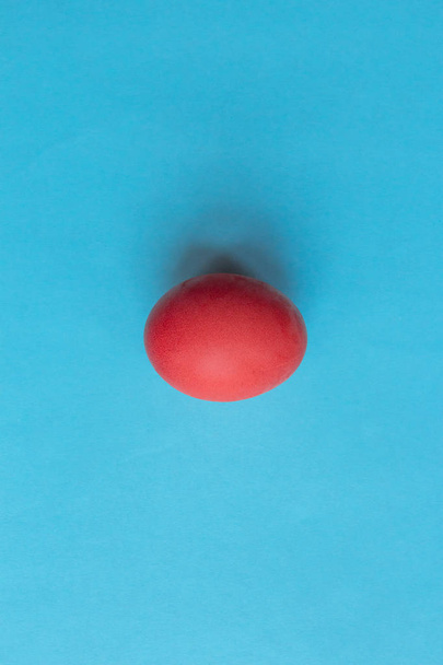 Trend colored pink chicken egg on a blue pastel minimalistic bac - Foto, Bild