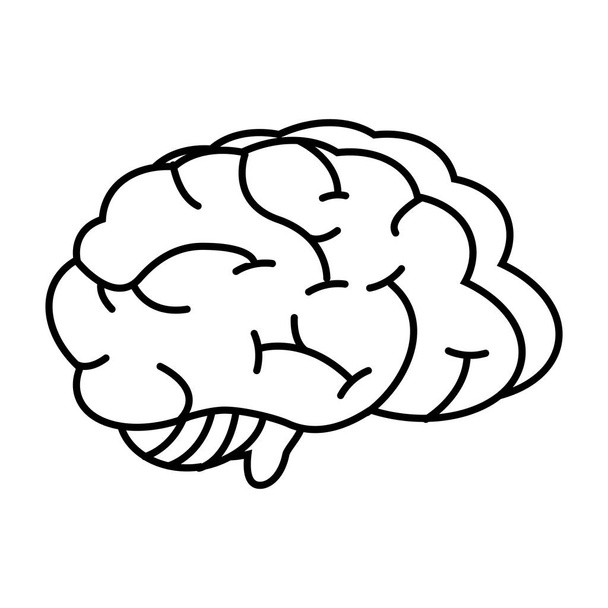 ihmisen aivoelin - Vektori, kuva