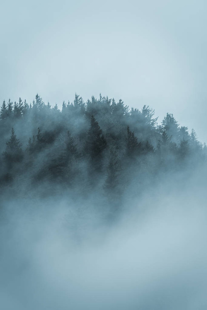 Niebla sobre las montañas. - Foto, Imagen