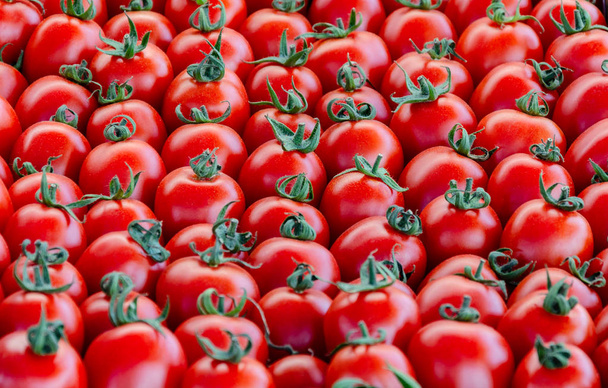 fresh red natural tomatoes - Photo, Image