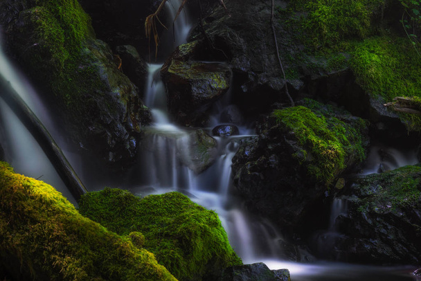 Величественные водопады в тропических лесах - Фото, изображение