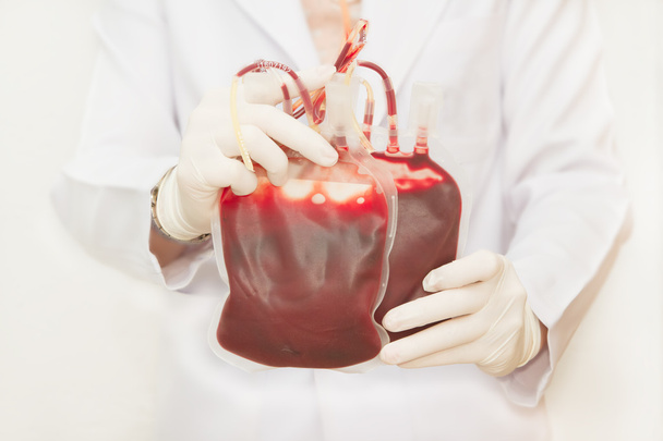 Médico sosteniendo sangre fresca de donante para transfusión
 - Foto, imagen