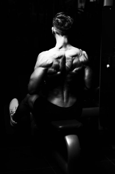 Bodybuilder Exercising Back In Gym - Photo, Image