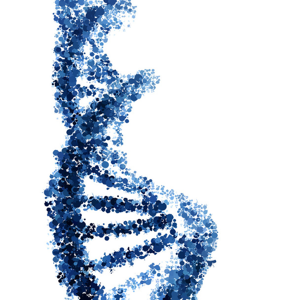 Вектор спирали ДНК изолирован на белом фоне
 - Вектор,изображение