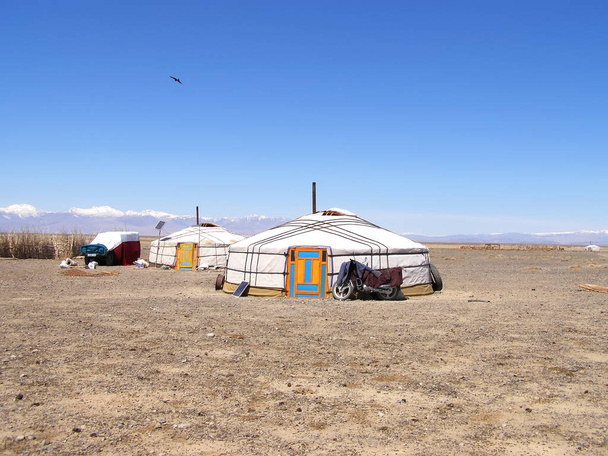 Traditionele woning van Mongoolse nomadische yurt in mei - Foto, afbeelding